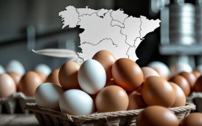 Global Eggs refuerza su presencia en Europa con la adquisición de Granja Legaria, asesorada por teamOn